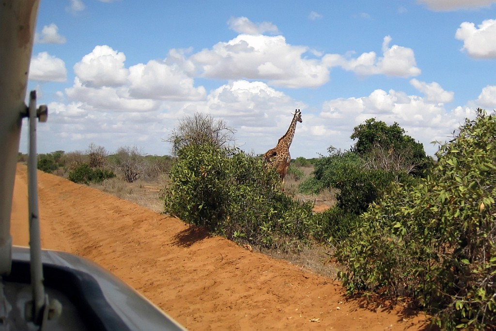 Kenia (282).jpg